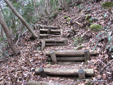 20140102hike (71)
